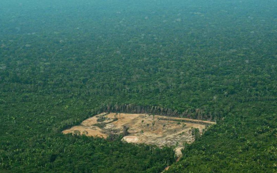 Pela paz na Amazônia