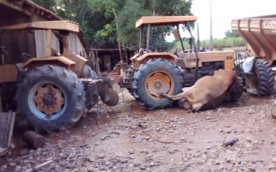 Tragédia atinge pequenos agricultores, indígenas e quilombolas